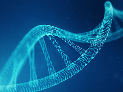 The DNA of Spiritual Freedom